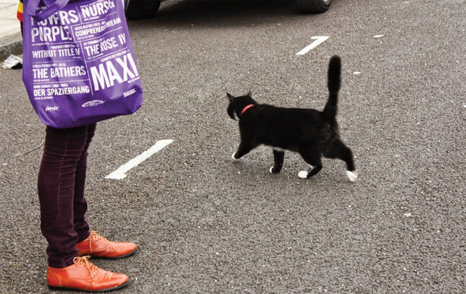 کیا کالا رنگ نحوست کی علامت ہے؟؟؟