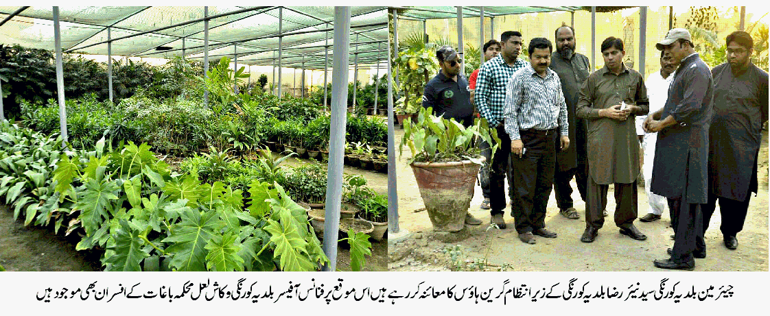 بلدیہ کورنگی کا سرسبز ماحول کے قیام کے لئے یوسی سطح پر گرین ہائوس قائم کرنے کا اعلان