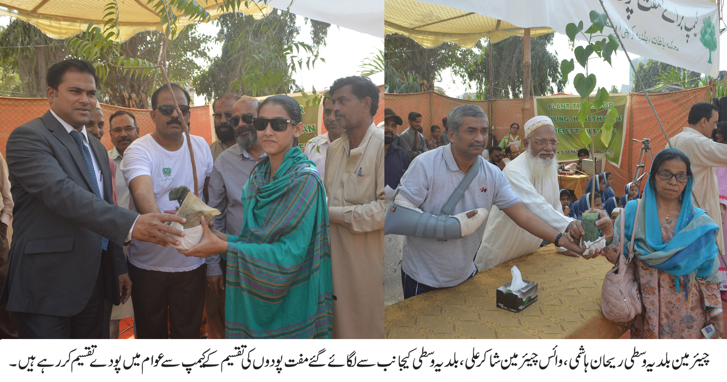 بلدیہ وسطی کا شہریوں میں 200 پودوں کی مفت تقسیم