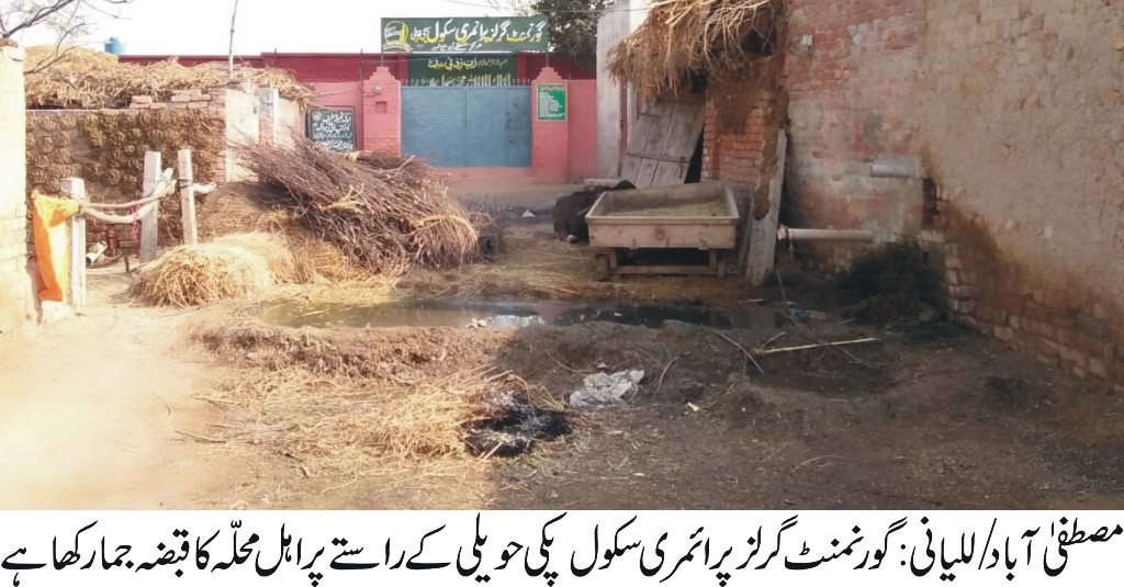 مصطفی آباد/للیانی کی خبریں 21/11/2016