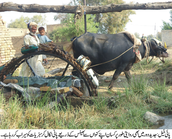 پائی خیل کی خبریں 3/11/2016