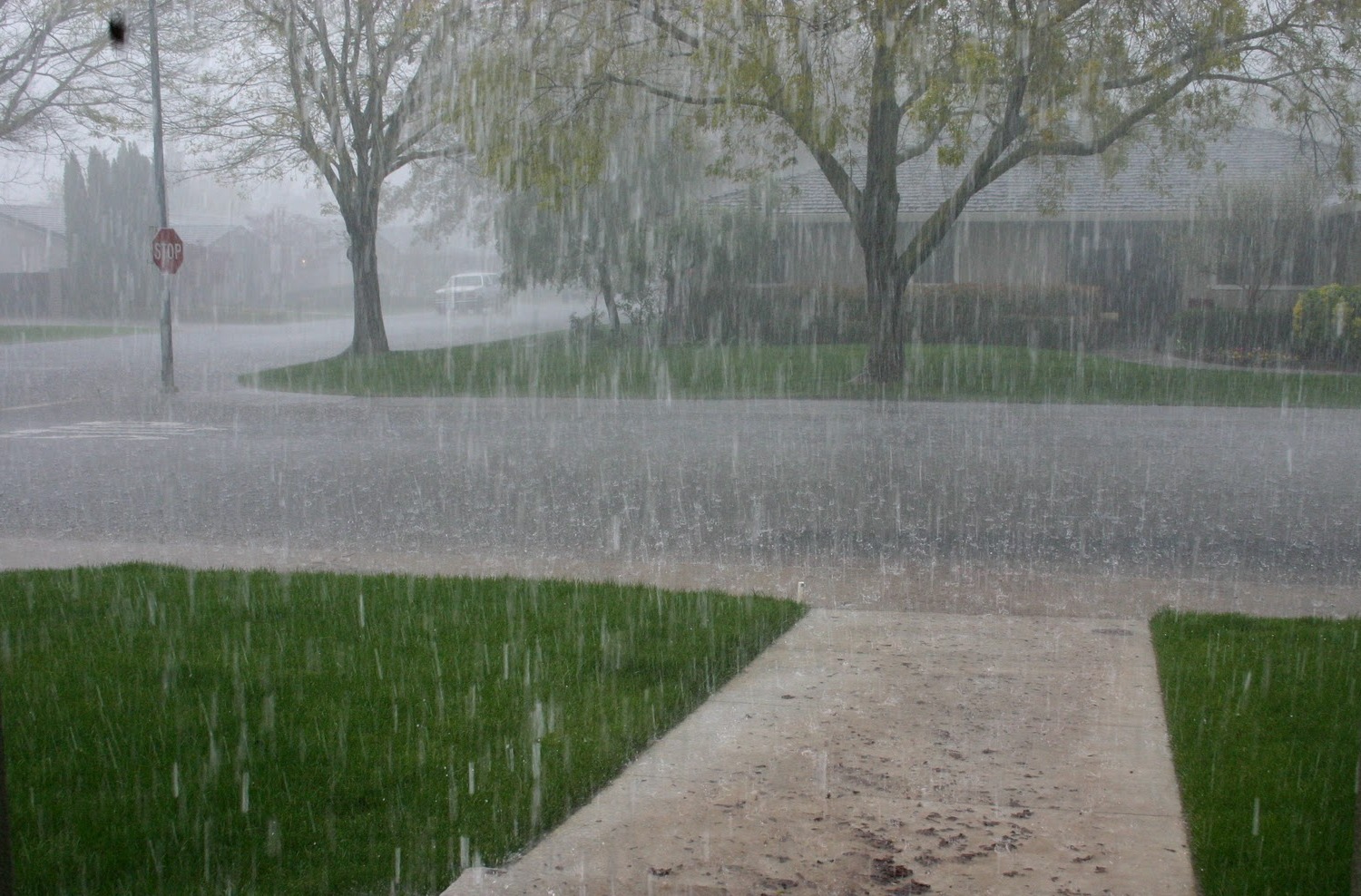 بارش کا مسلک