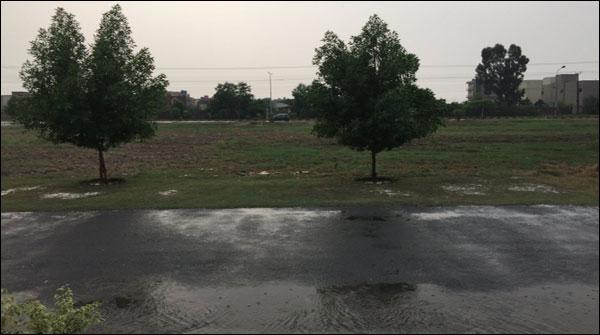 Rain
