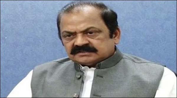 سمیعہ چوہدری کے پوسٹمارٹم سے قتل کے شواہد نہیں ملے: رانا ثناء