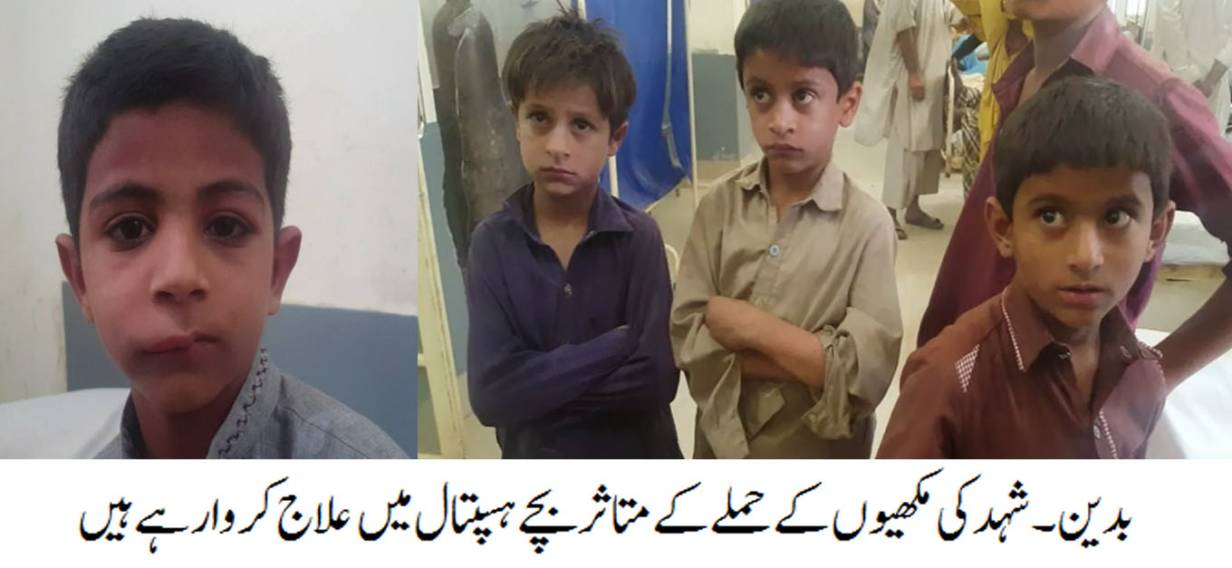 بدین کے نواحی علاقے میں اسکول پر شہد کی مکھیوں کا حملہ، بیس سے زائد بچے زخمی