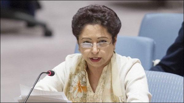 عالمی طاقتیں قیام امن کیلئے اپنا کردار کریں، ملیحہ لودھی