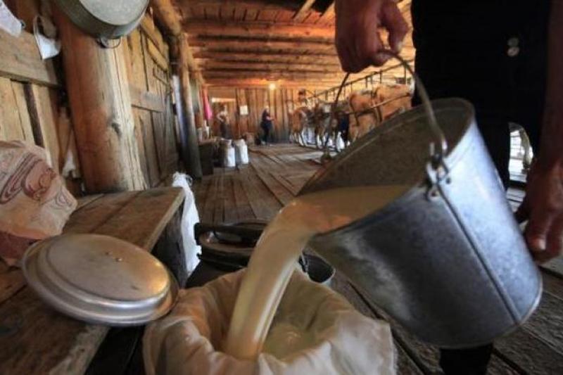 زہریلے دودھ کی فروخت سے اموات میں اضافہ ہو گیا، عالم علی