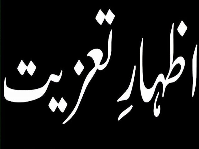 نجمی عالم کی والدہ کی رحلت پر پی پی پی ضلع کورنگی کے سلیم الدین انصاری کا نجمی عالم سے اظہار تعزیت