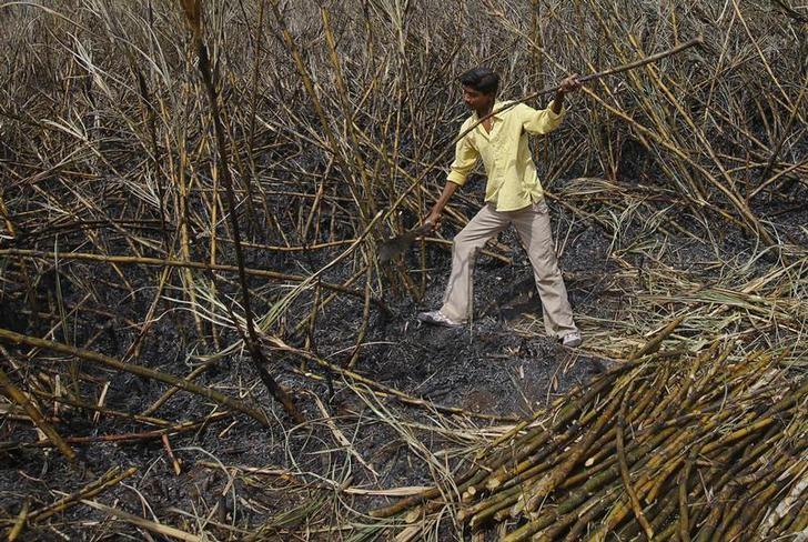 بھارت میں خشک سالی کے باعث 24 کے قریب شوگر ملز بند