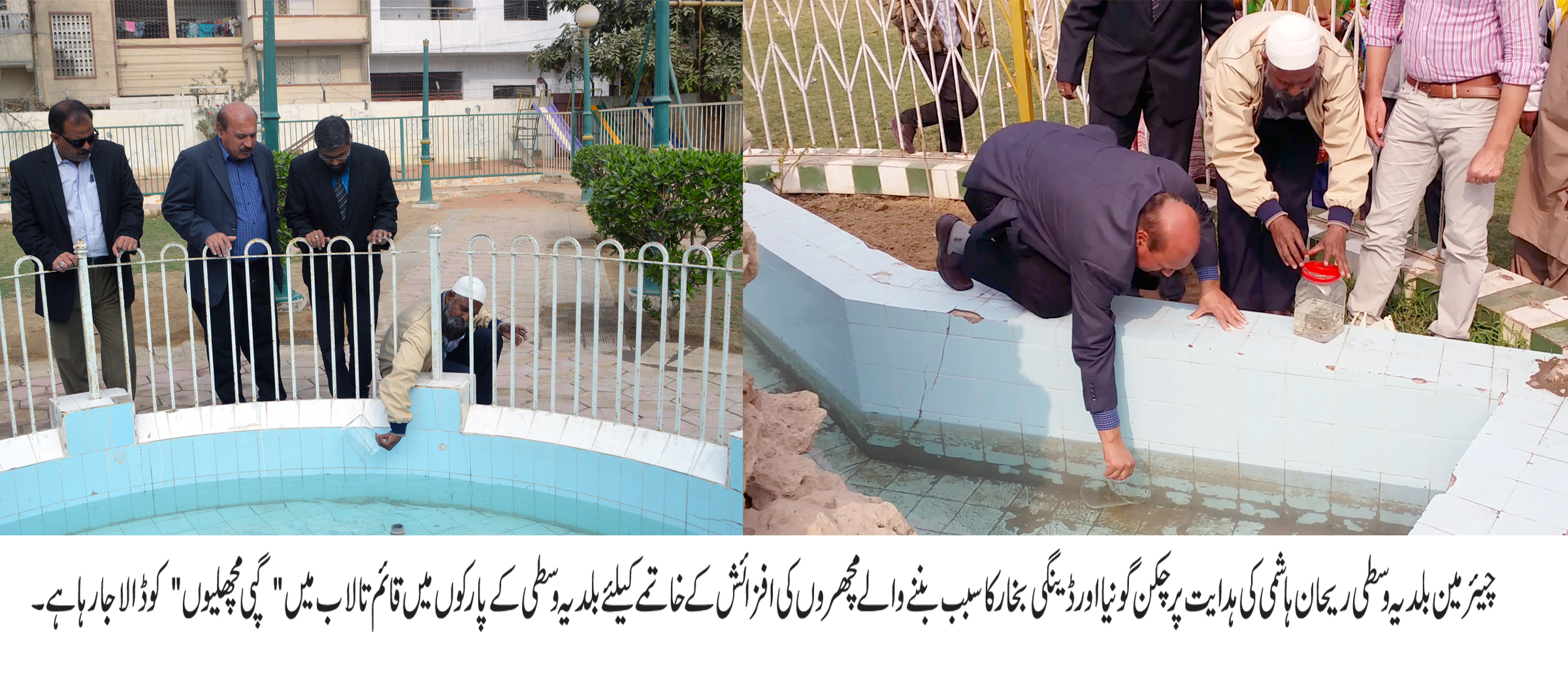 بلدیہ وسطی میں چکن گونیا اور ڈینگی وائرس کے خلاف دوسرے مرحلے کا آغاز