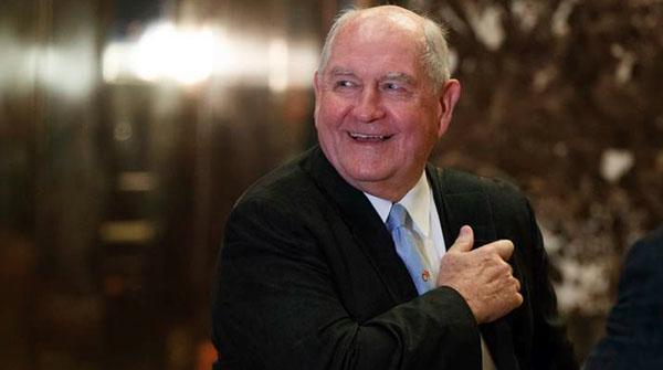 سونی پرڈیو کی ٹرمپ کابینہ میں بطور سیکرٹری زراعت نامزدگی کا امکان