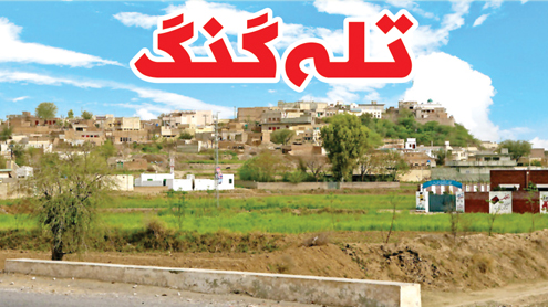 سیاسی اختلافات اور تلہ گنگ کا مستقبل