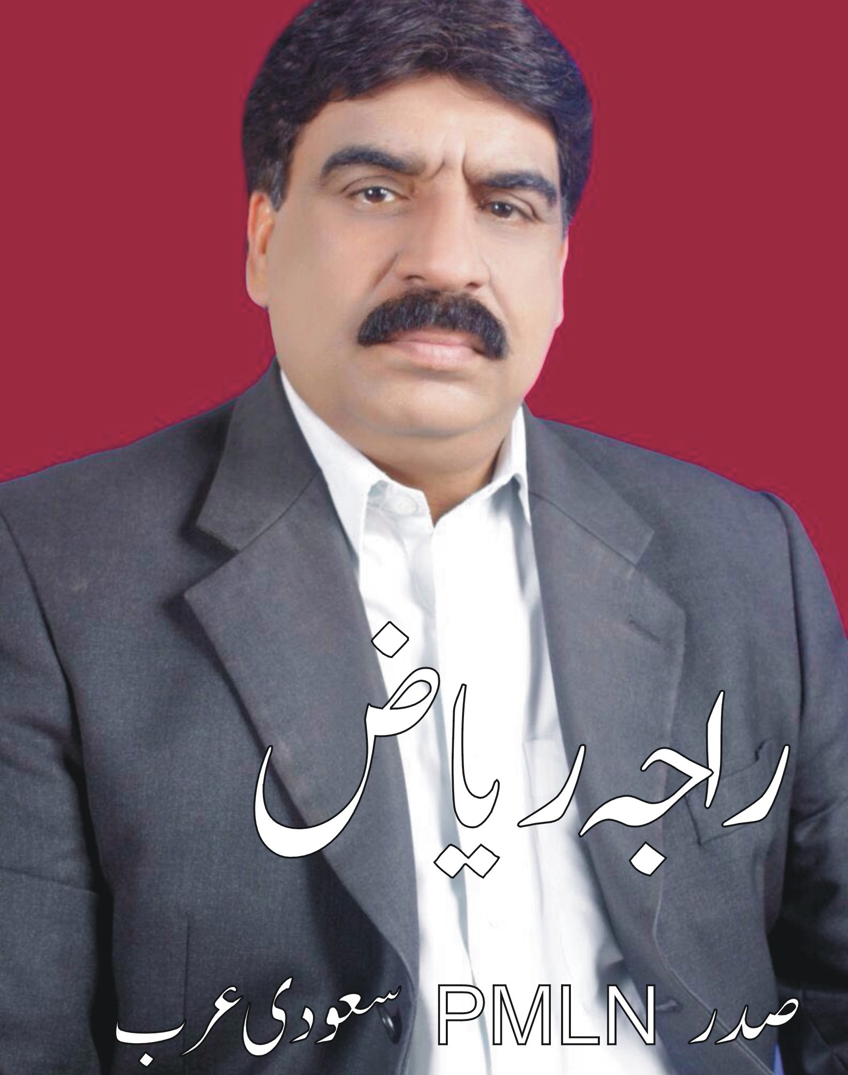 وزیراعظم پاکستان نے استثنیٰ ہونے کے باوجود اپنے اختیار کا استعمال نہیں کیا۔ راجہ ریاض