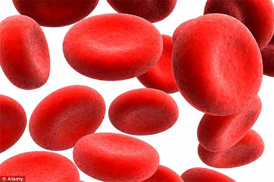 Artificial Blood