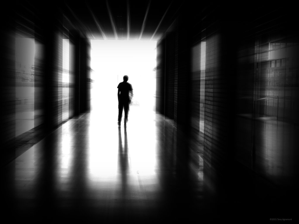 شور کے شر سے چپ کی خیر تک