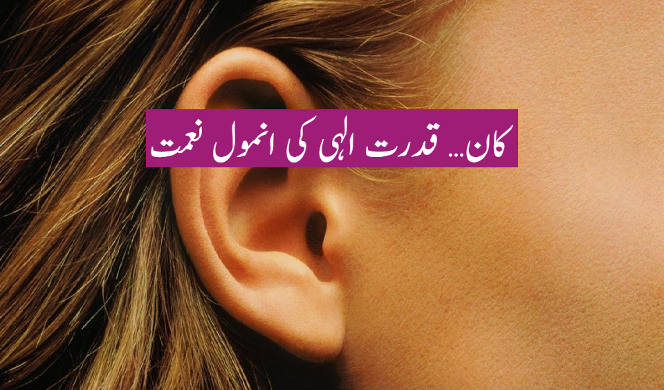 کان… قدرت الہی کی انمول نعمت