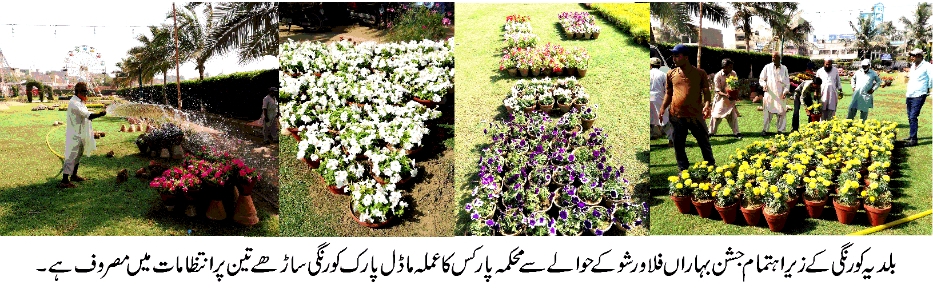 FLOWER SHOW DMC KORANGI KARACHI