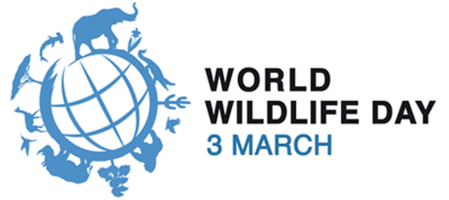 International Wildlife Day