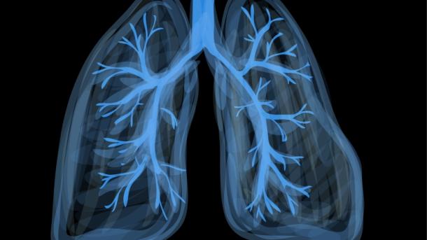 پھیپھڑے خون بھی بناتے ہیں، نئی تحقیق