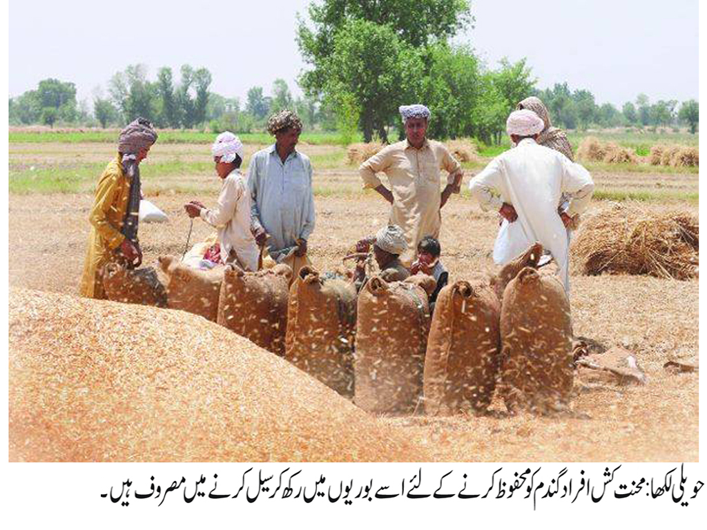 حویلی لکھا کی خبریں 11/4/2017