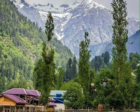 کشمیر کی وحدت کا خواب