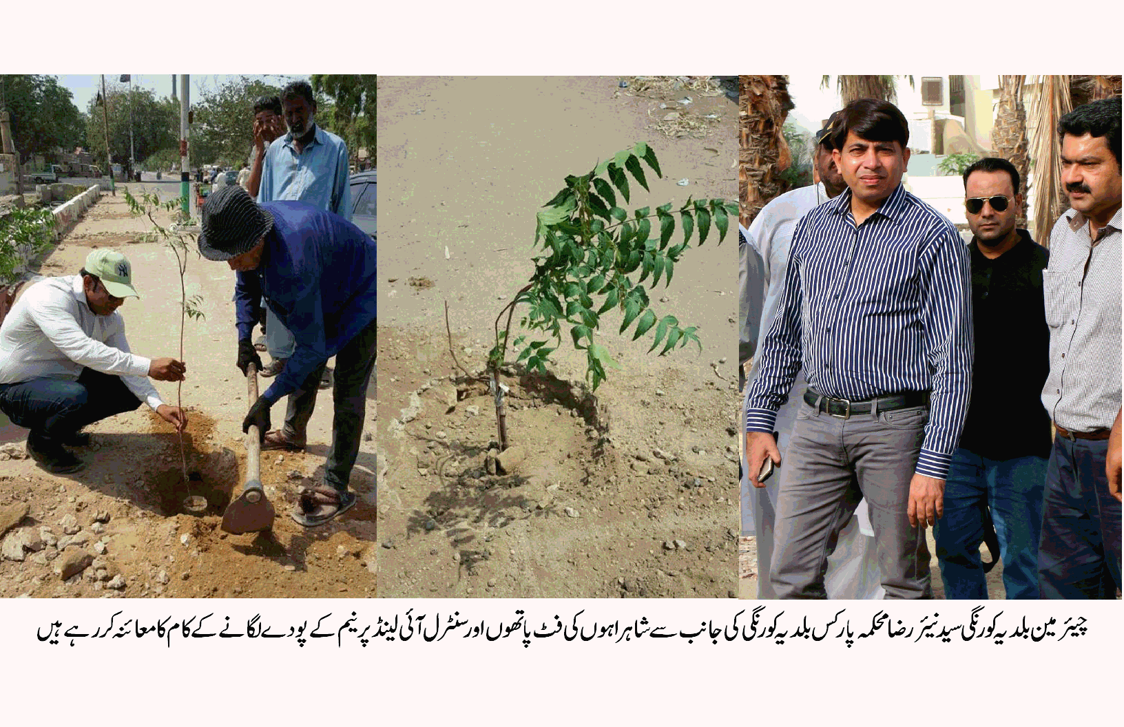 شاہراہوں کی سنٹرل آئی لینڈز، فٹ پاتھوں اور گرین بیلٹس پر نیم کے پودے لگانے کا آغاز