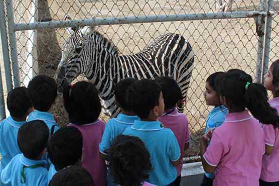 شہریوں نے عید کا دوسرا دن بھی بھرپور انداز سے گزارنے کا فیصلہ کر لیا