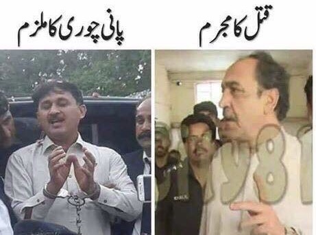 ببلو کی پیشی کی تصویر پر ۔۔۔۔