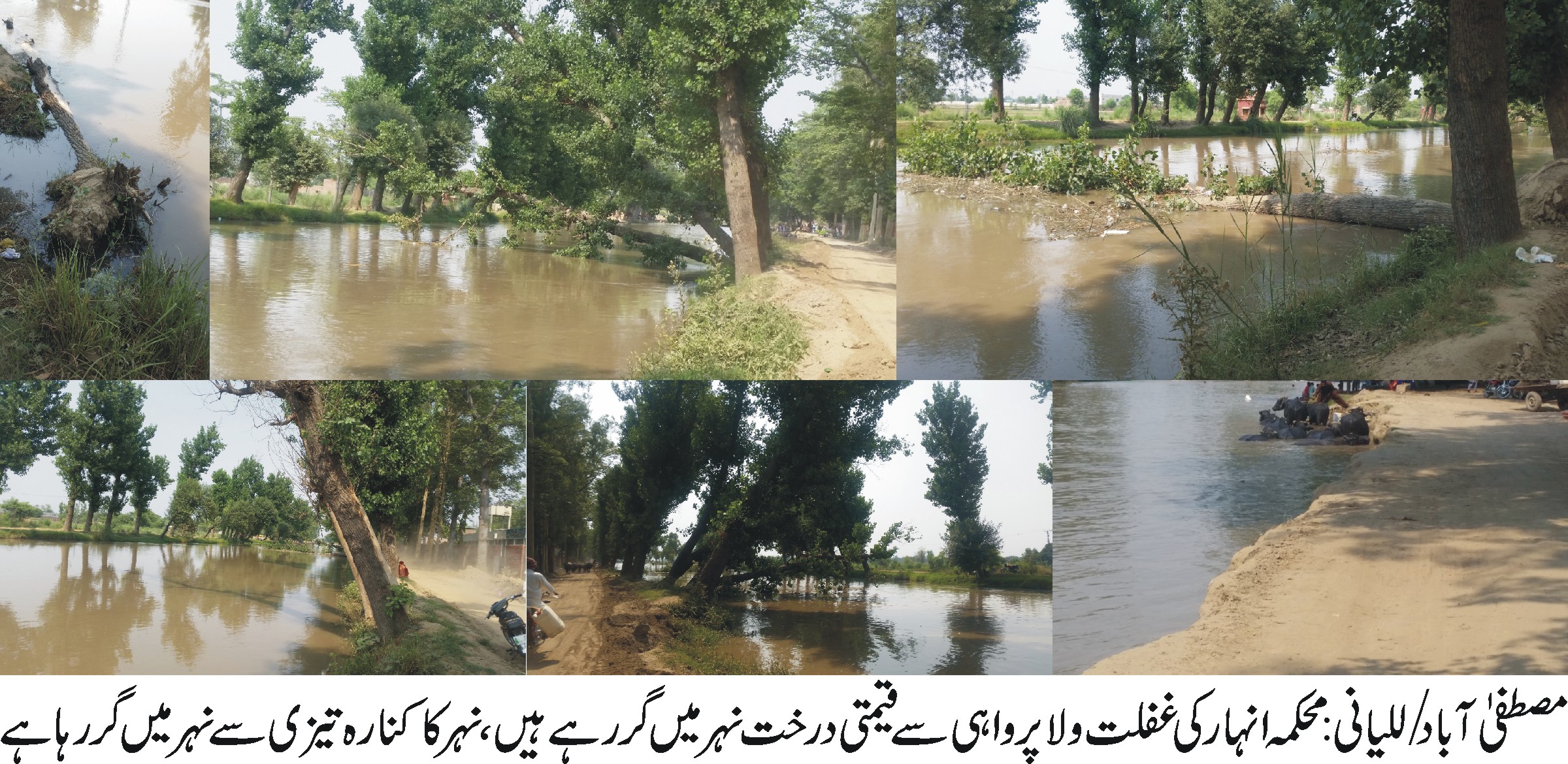 مصطفی آباد/للیانی کی خبریں 1/6/2017