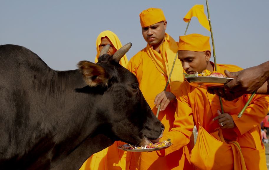 گائے نہیں انسان بچاو