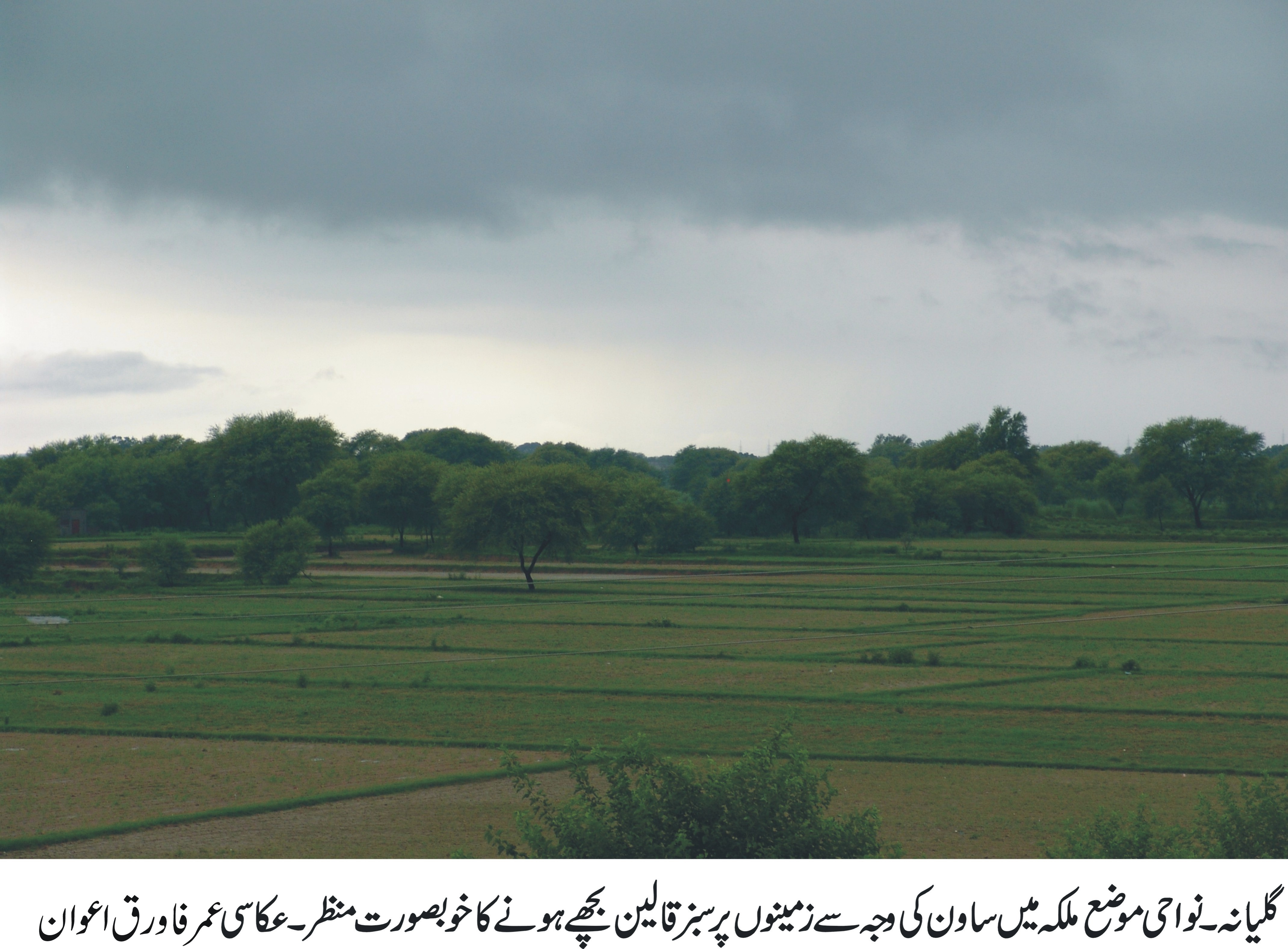 ملکہ کی خبریں 25/7/2017