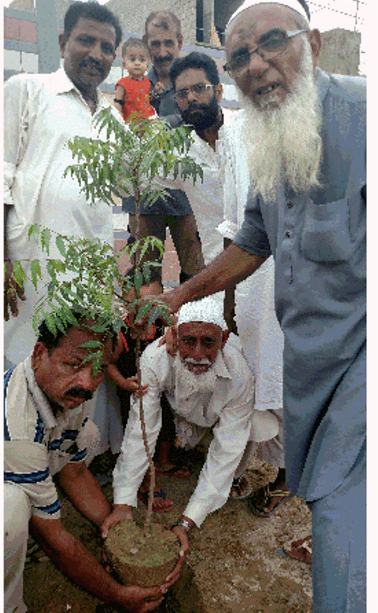 واحد اسپورٹس شوٹنگ بال کلب کورنگی کے زیراہتمام شجر کاری مہم کا آغاز کورنگی میں کر دیا گیا