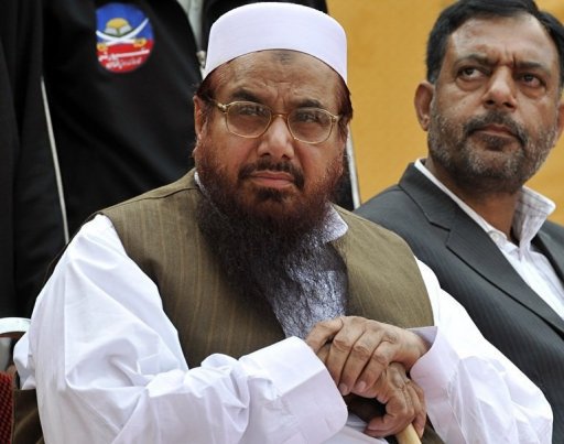 حافظ محمد سعید، ملی مسلم لیگ اور ملکی سیاست