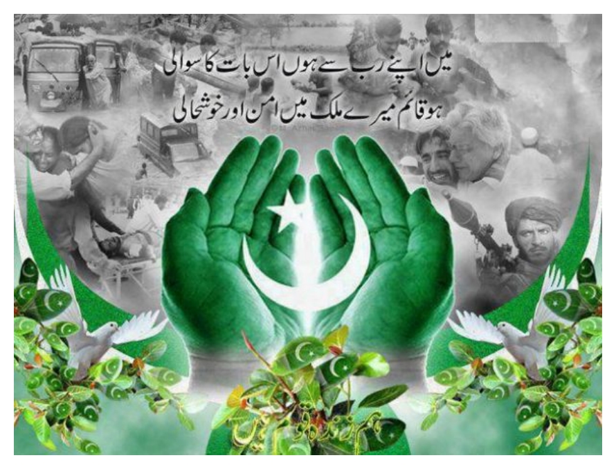 ہم نے پاکستان کو کیا دیا