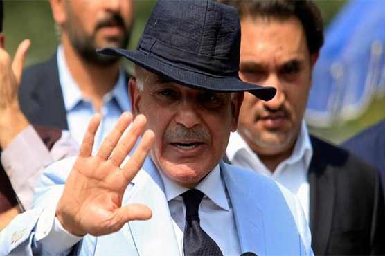 شہباز شریف مسلم لیگ ن کے نئے صدر ہوں گے: راجہ ظفر الحق