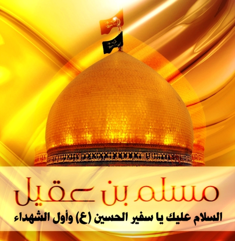 سفیرِ حسین سیدنا مسلم بن عقیل از ڈاکٹر سید علی عباس شاہ‎