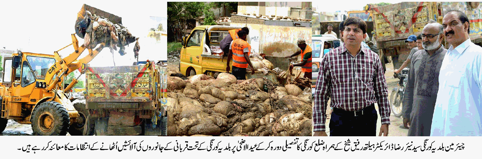 عید الاضحی کے پہلے اور دوسرے روز ضلع کورنگی میں آلائشیں اُٹھانے کے انتظامات اطمینان بخش قرار