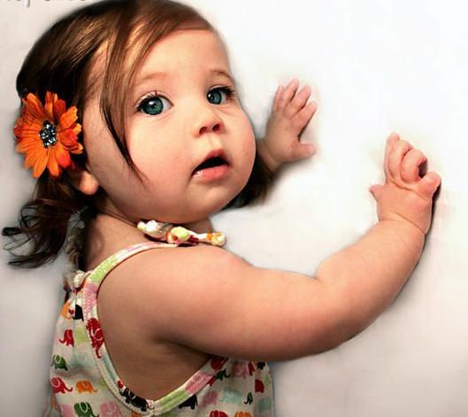 ان کو قتل نہ کرو۔۔۔۔۔۔یہ اللہ کی رحمتیں ہیں