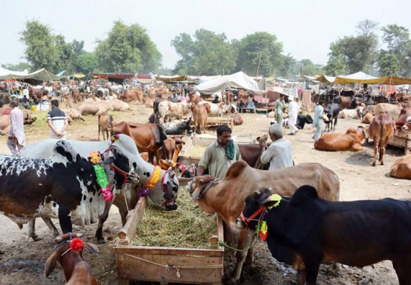 Eid-ul-Azha