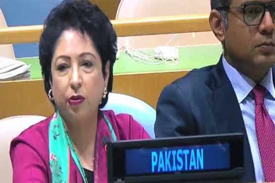 بھارت جنوبی ایشیا میں دہشت گردی کی ماں ہے: ملیحہ لودھی