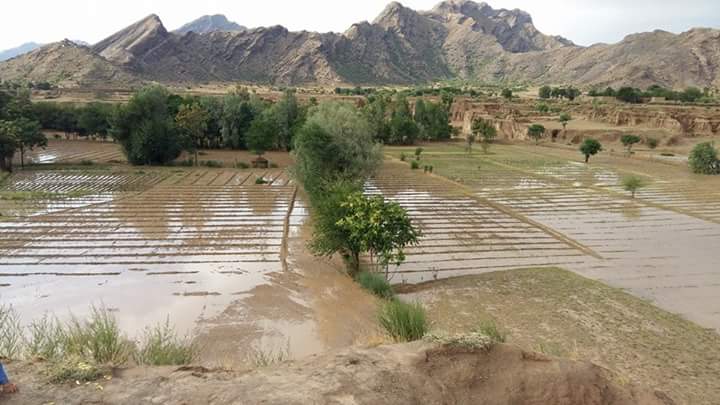 مہمند ایجنسی میں موسمیاتی تبدیلی کے منفی اثرات