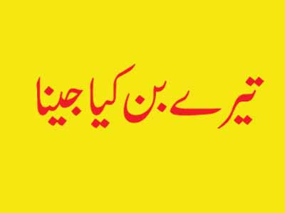 تیرے بن کیا جینا