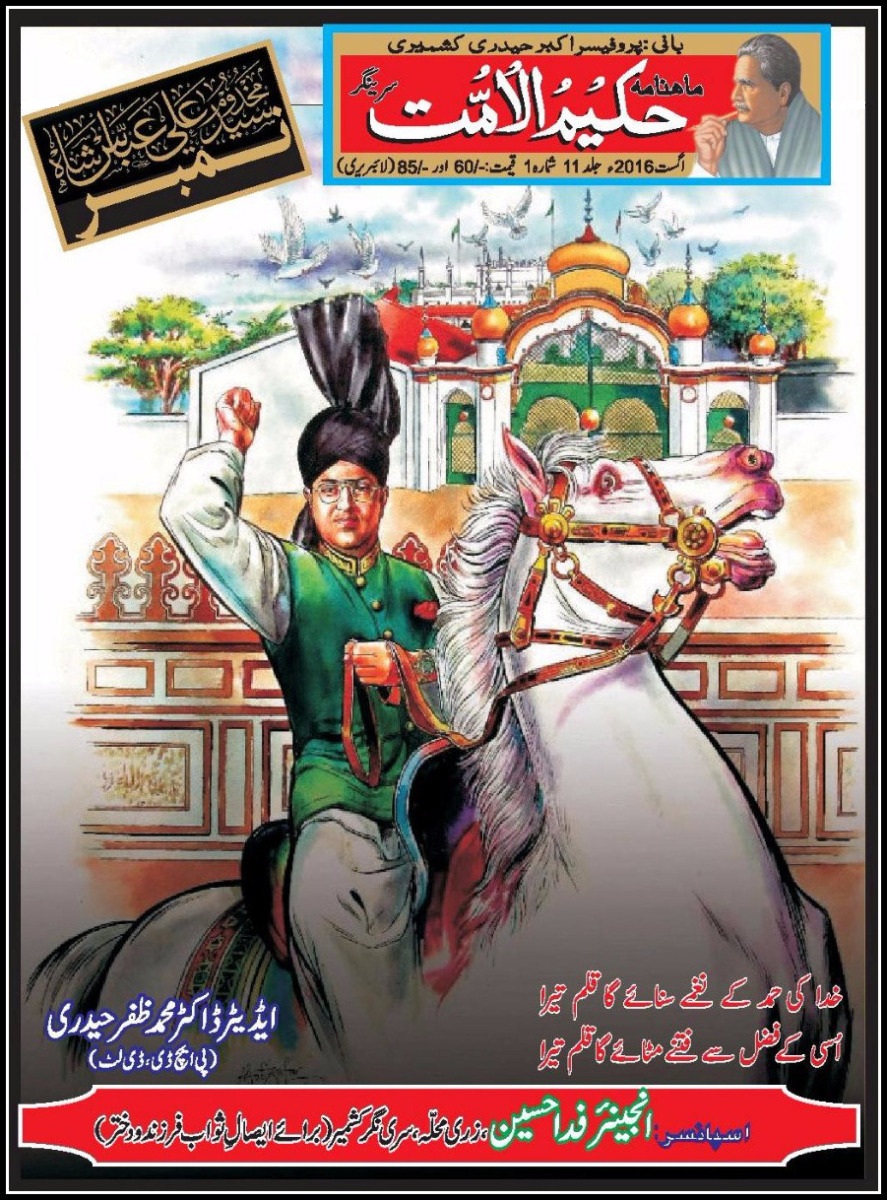 محققِ اہلِ بیت تبصرہ از انجم سلطان شہباز