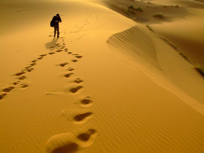 صحرا کے مسافر کو تو دریا نہیں ملتا