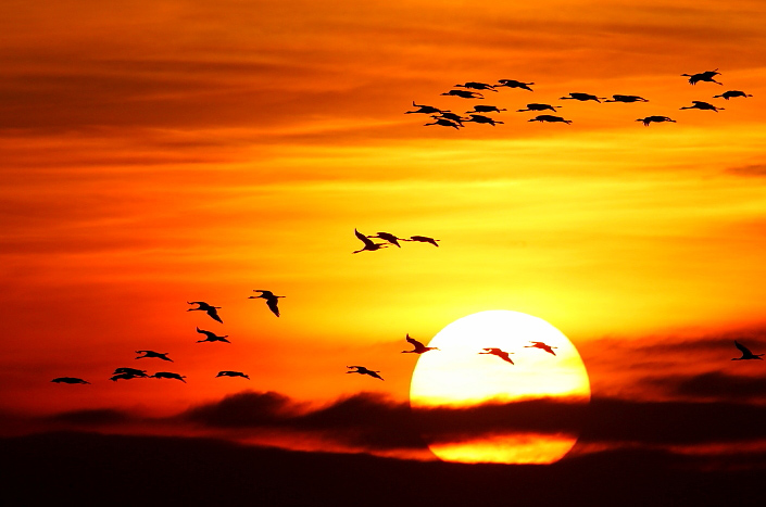 شام ہوتی ہے تو وحشت نہیں دیکھی جاتی