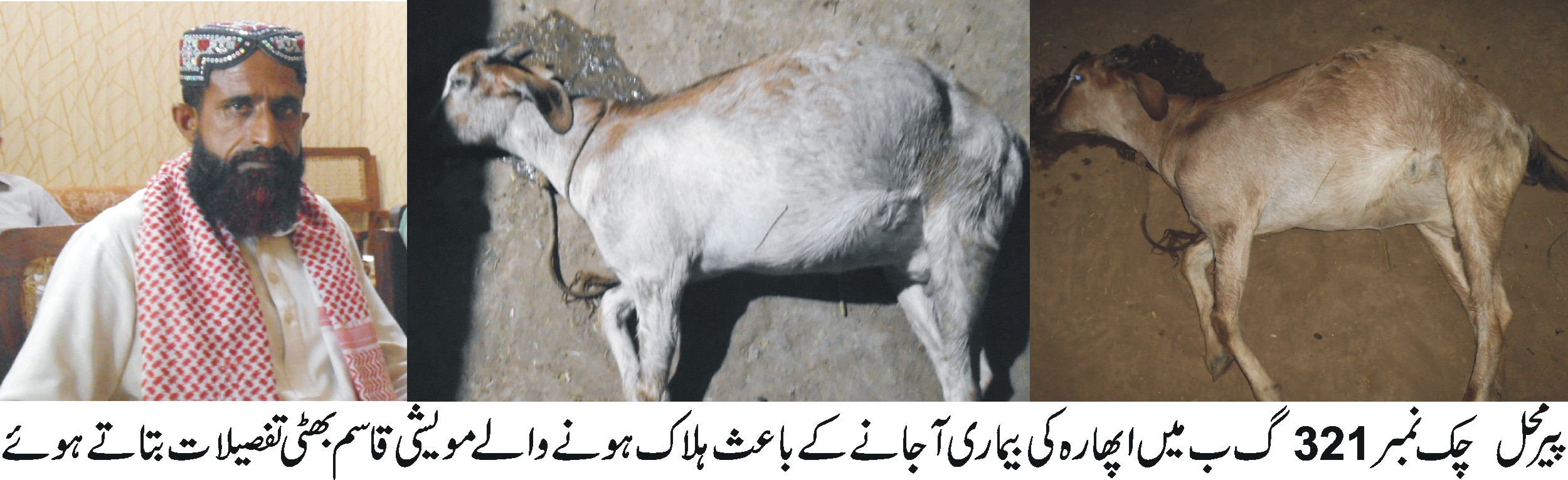 پیرمحل  کی خبریں 5/10/2017