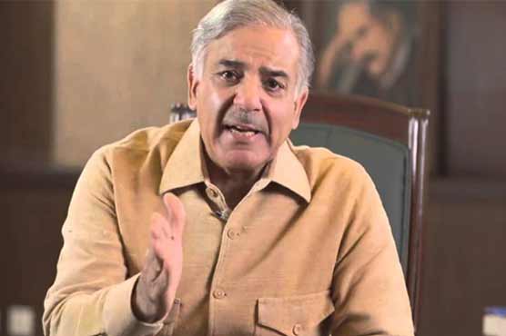 پنجاب کے سرکاری ہسپتالوں سے سفارش اور ہڑتال کا کلچر ختم کر دیا: شہباز شریف