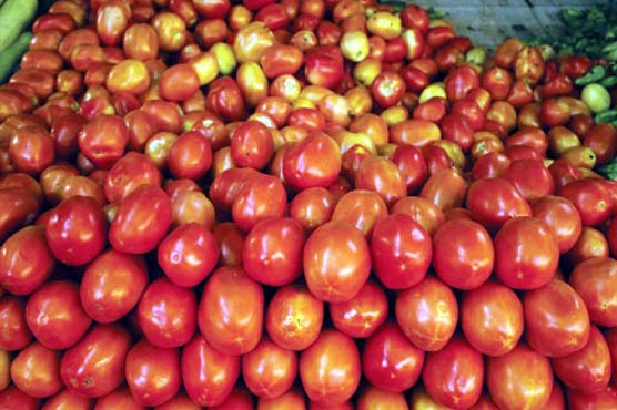 بھارت سے سمگل شدہ 40 ہزار کلو ٹماٹر 35 لاکھ روپے میں نیلام