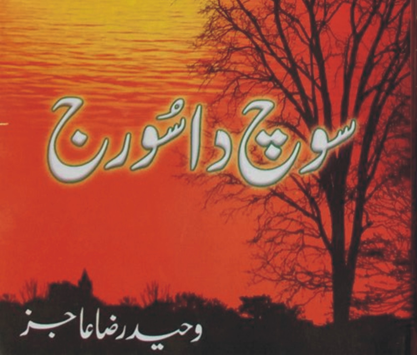 وحید رضا عاجز کا شاہکار  سوچ دا سُورج