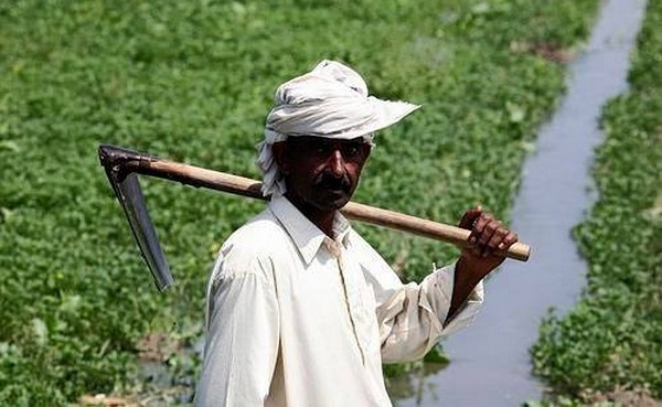 موجودہ حکومت اور کسان